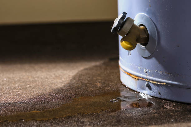 Best Flood damage cleanup  in Chalfont, PA