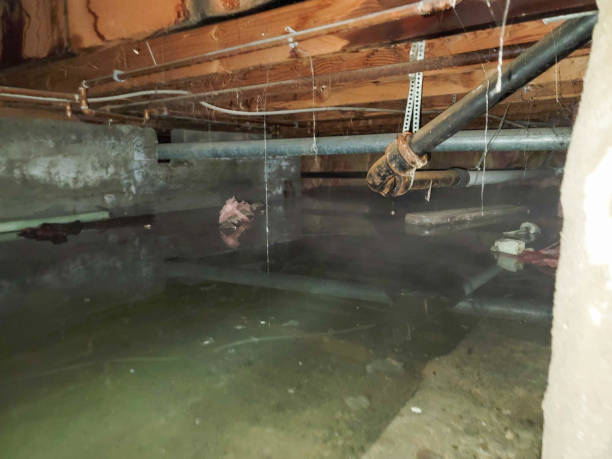 Best Water damage restoration near me  in Chalfont, PA