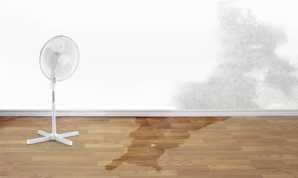 Best Local water damage restoration  in Chalfont, PA