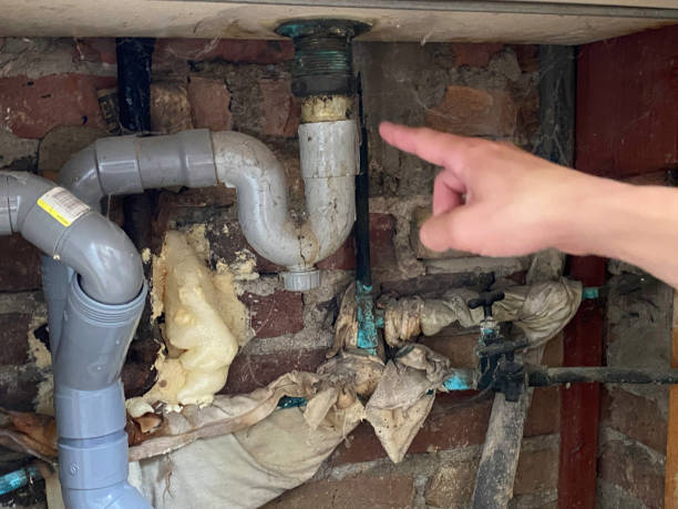 Best Water damage cleanup near me  in Chalfont, PA